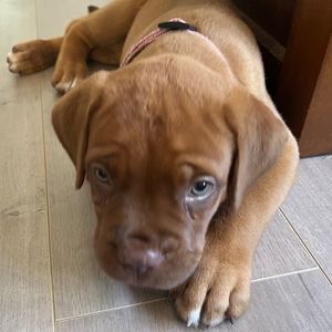 Meet your Posher, Olysia